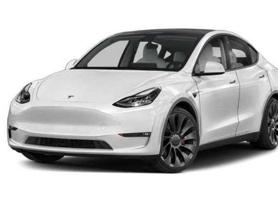 TESLA MODEL Y 2021 5YJYGDED5MF124239 image